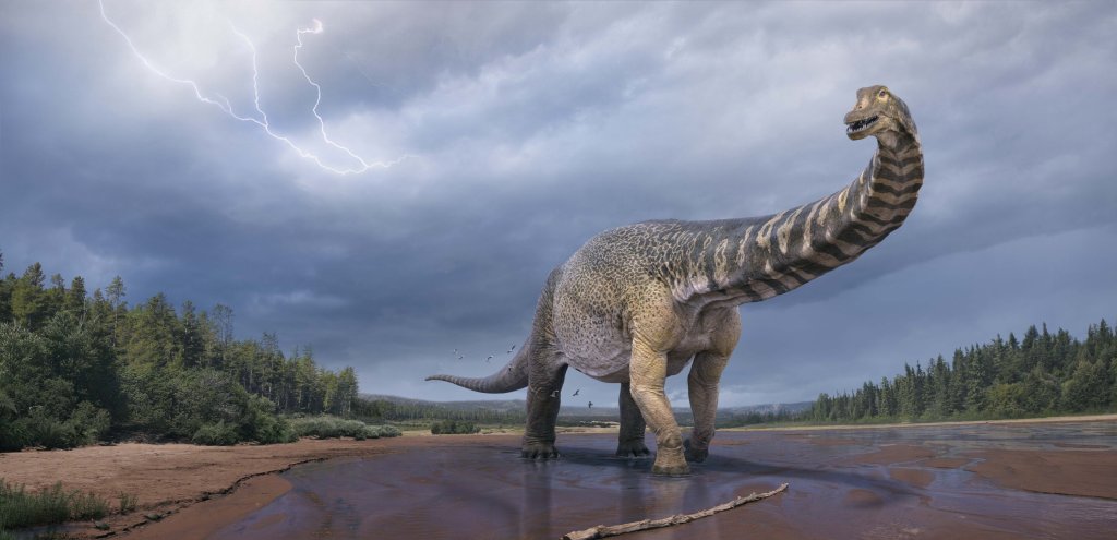 Australia's largest dinosaur